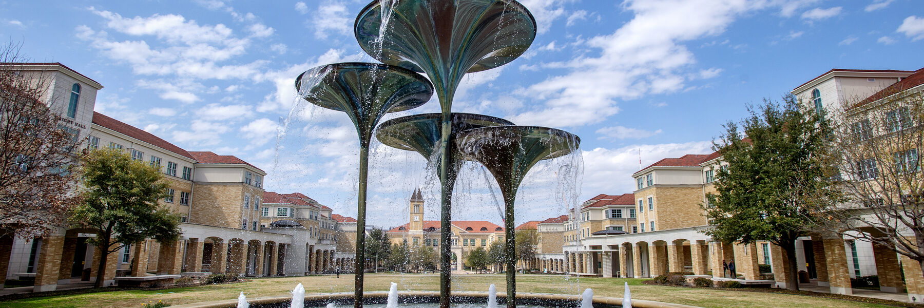 Frog Fountain with Campus Commons in the background