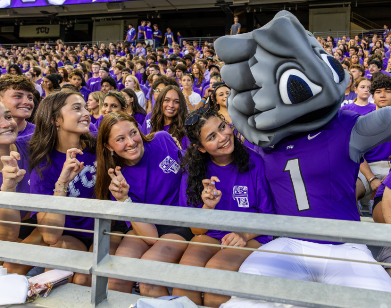 Students and a mascot sit in a football stadium.